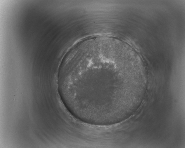 X0000069380002200605262102