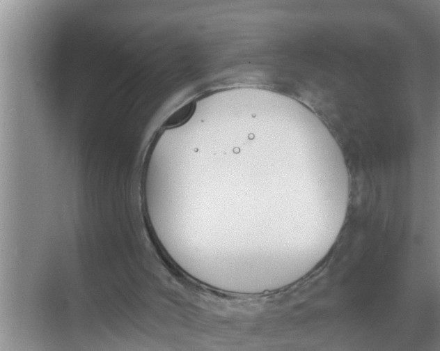 X0000069380004200605262102