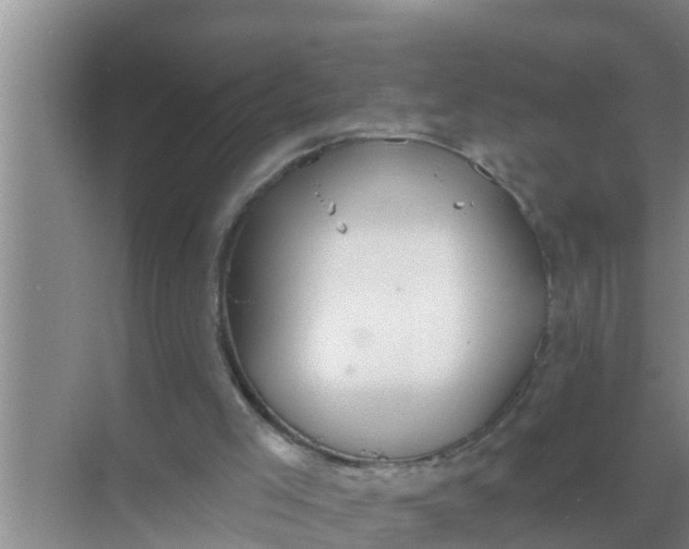 X0000069380005200605262102