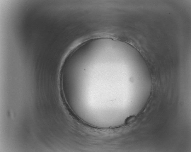 X0000069380006200605262102