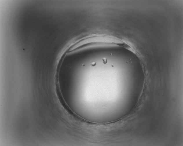 X0000069380007200605262102