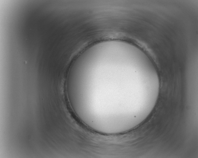 X0000069380010200605262102