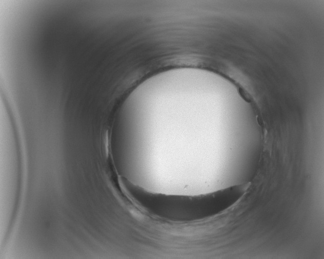 X0000069380013200605262102