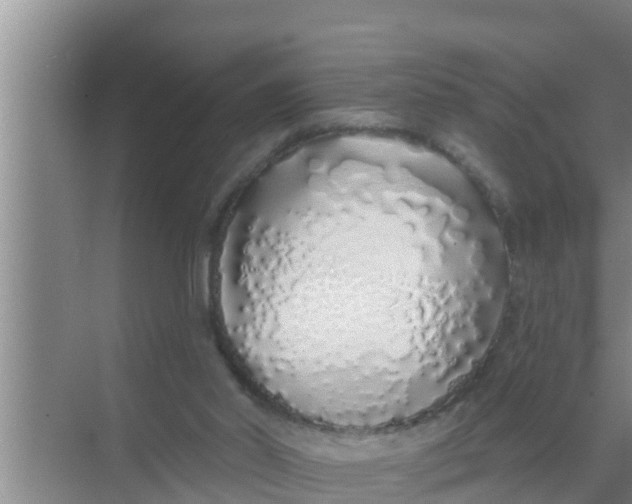 X0000069380014200605262102