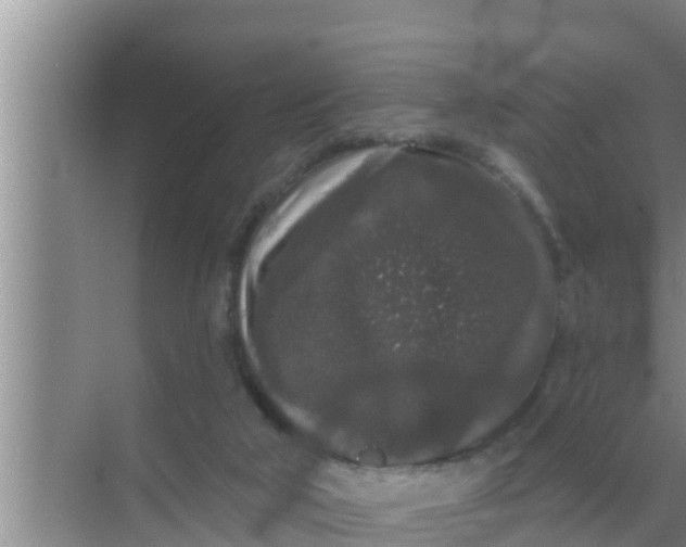 X0000069380018200605262102