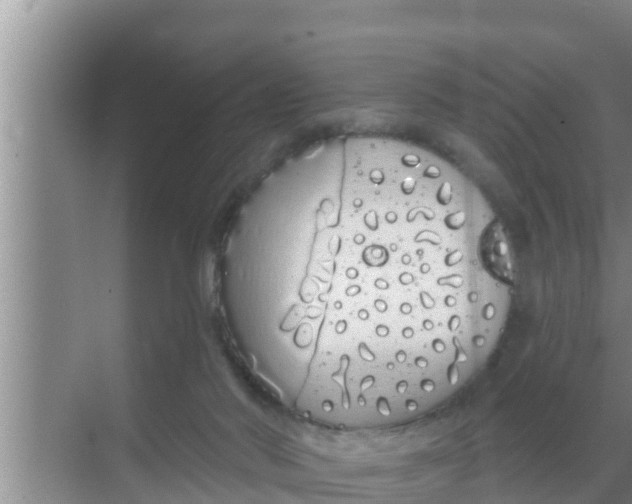 X0000069380022200605262102