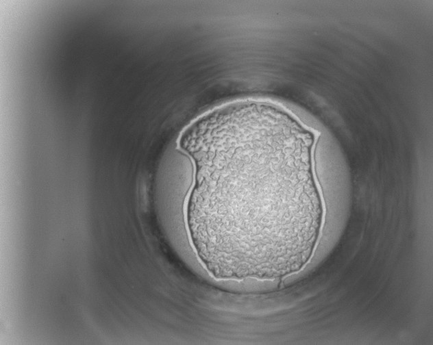 X0000069380026200605262102