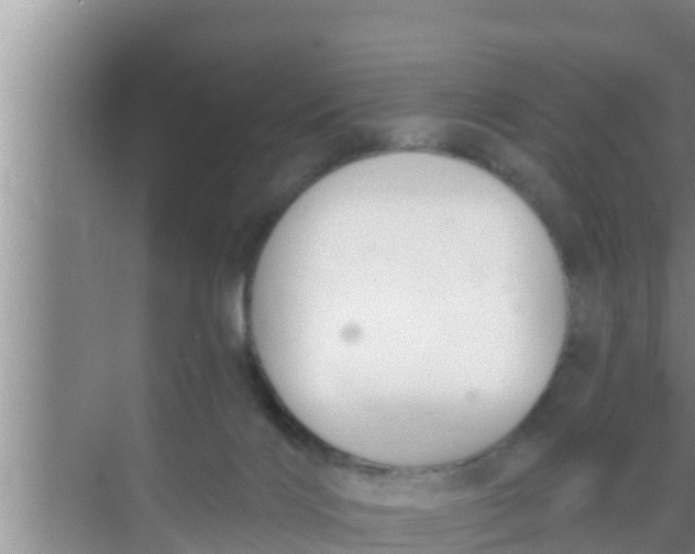 X0000069380028200605262102