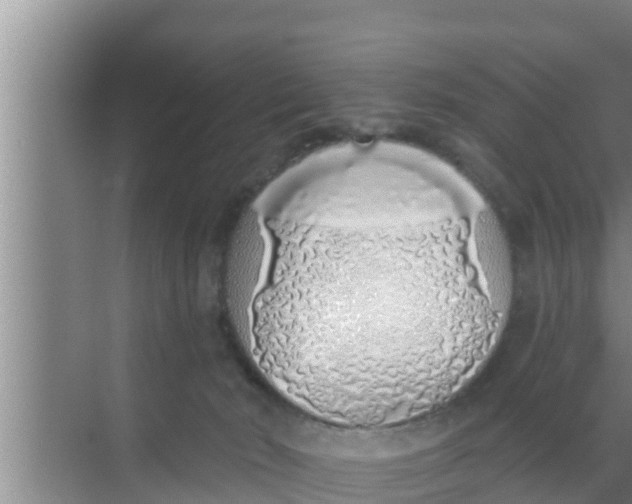 X0000069380030200605262102