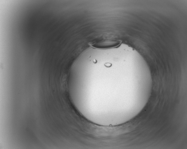 X0000069380034200605262102