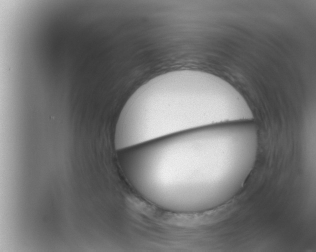 X0000069380037200605262102