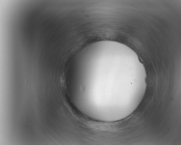 X0000069380040200605262102