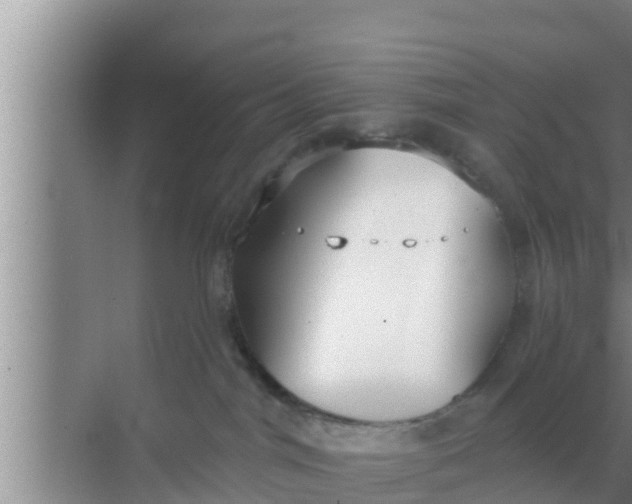 X0000069380044200605262102