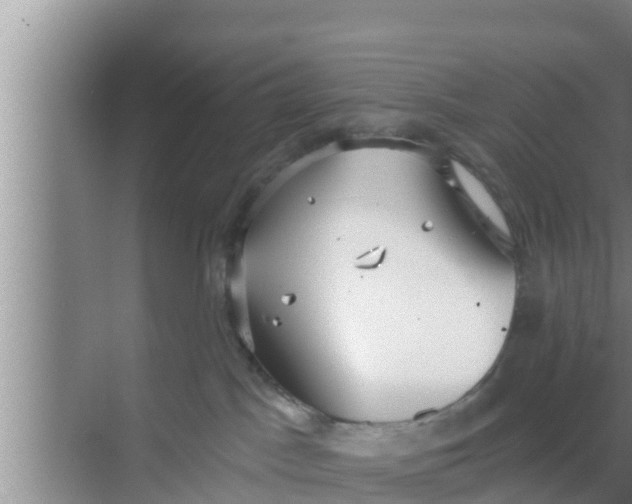 X0000069380045200605262102