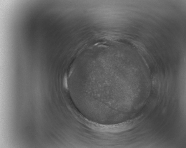 X0000069380046200605262102