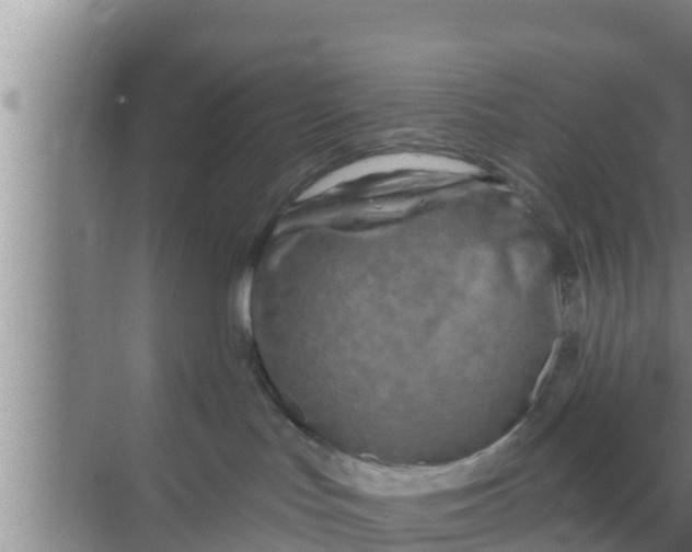 X0000069380047200605262102