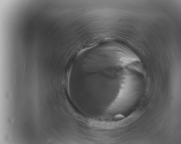 X0000069380048200605262102