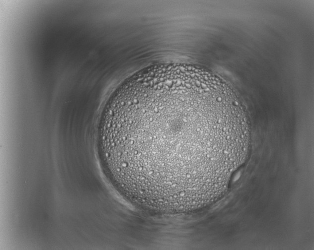 X0000069380049200605262101