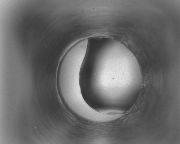 X0000069380052200605262101