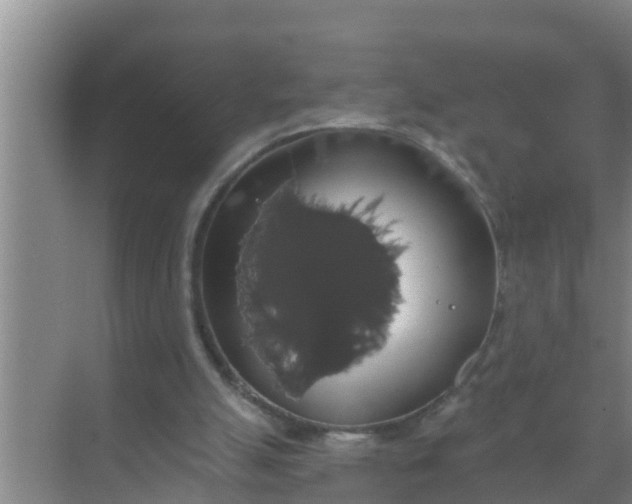 X0000069380055200605262101