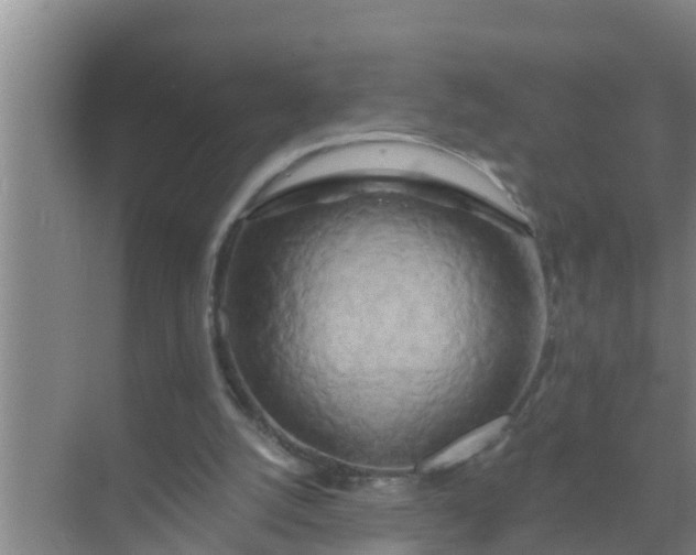 X0000069380056200605262101