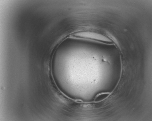 X0000069380059200605262101