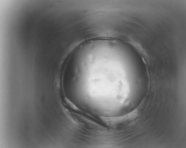 X0000069380060200605262101