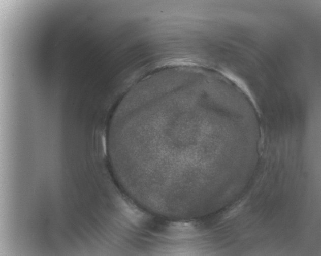 X0000069380061200605262101