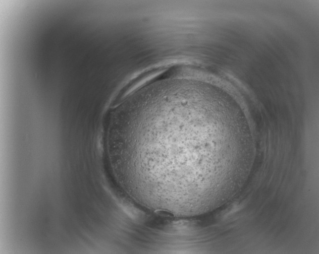 X0000069380064200605262101