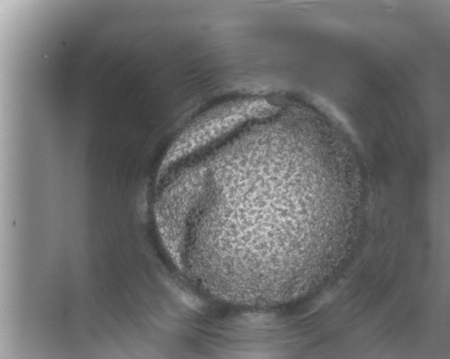 X0000069380065200605262101