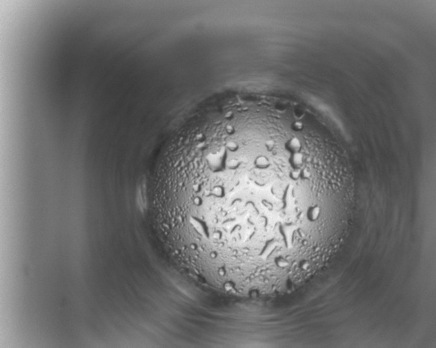 X0000069380069200605262101