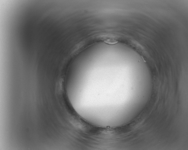 X0000069380071200605262101