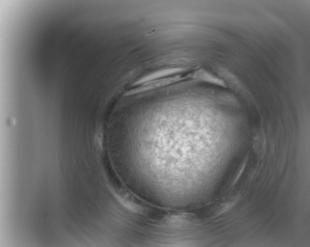 X0000069380072200605262101