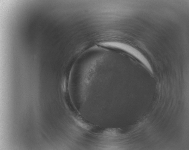 X0000069380076200605262101