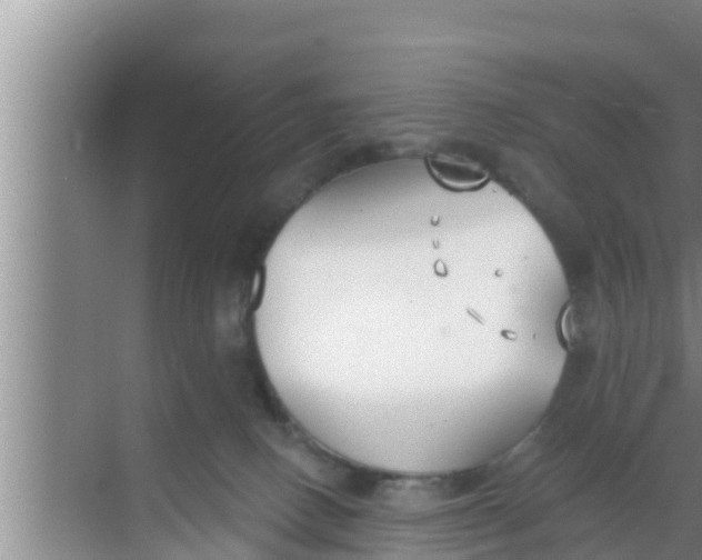 X0000069380082200605262101