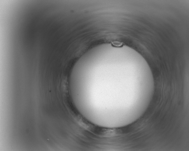 X0000069380083200605262101