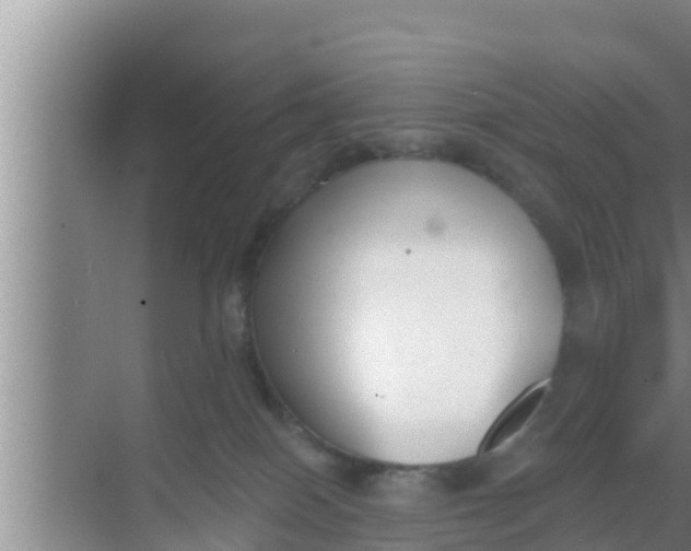 X0000069380086200605262101