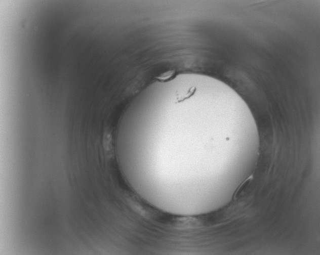 X0000069380087200605262101