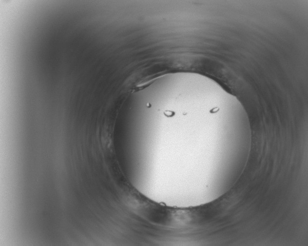 X0000069380091200605262101