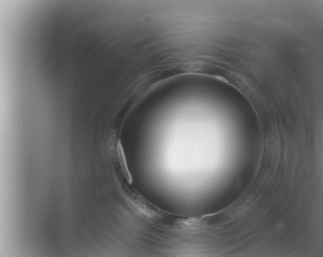 X0000069380092200605262101