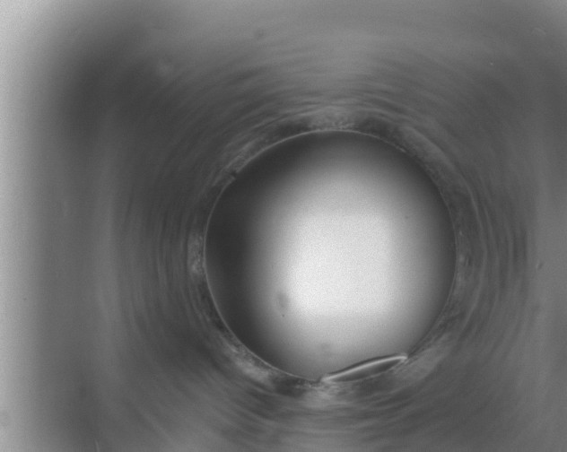 X0000069380096200605262102