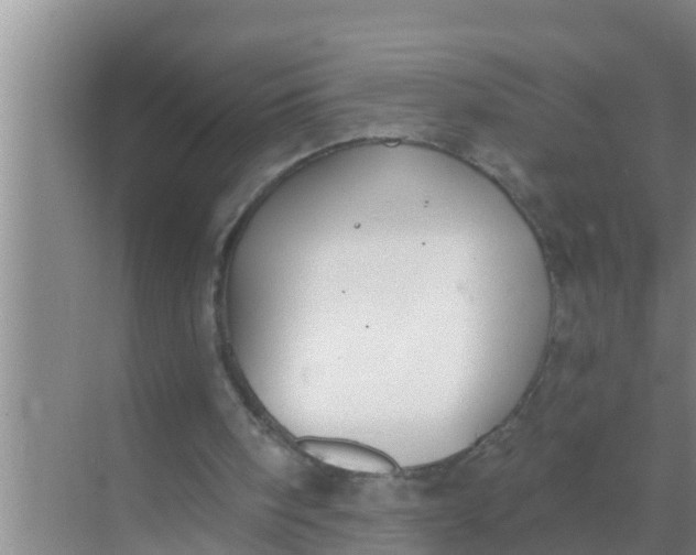 X0000069380098200605262101