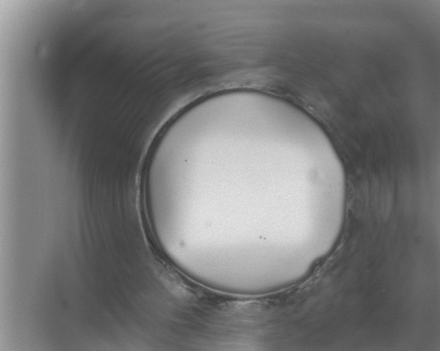 X0000069380100200605262101