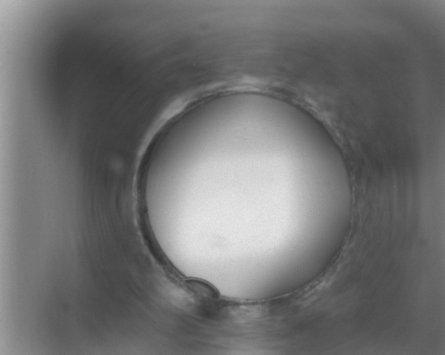 X0000069380102200605262101