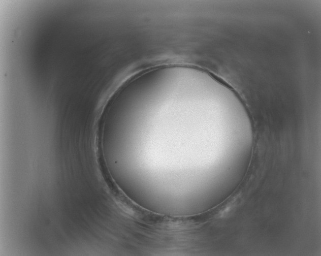 X0000069380103200605262101