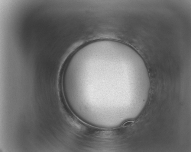 X0000069380104200605262101