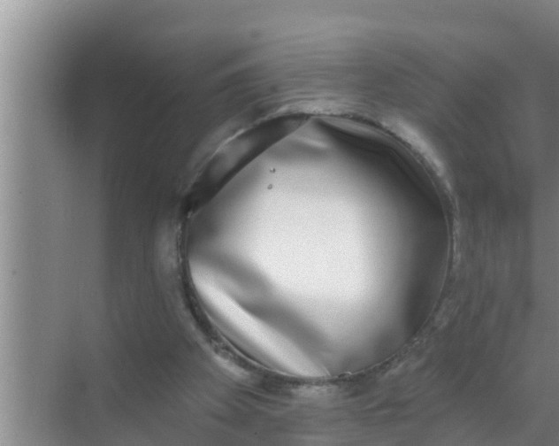 X0000069380105200605262101