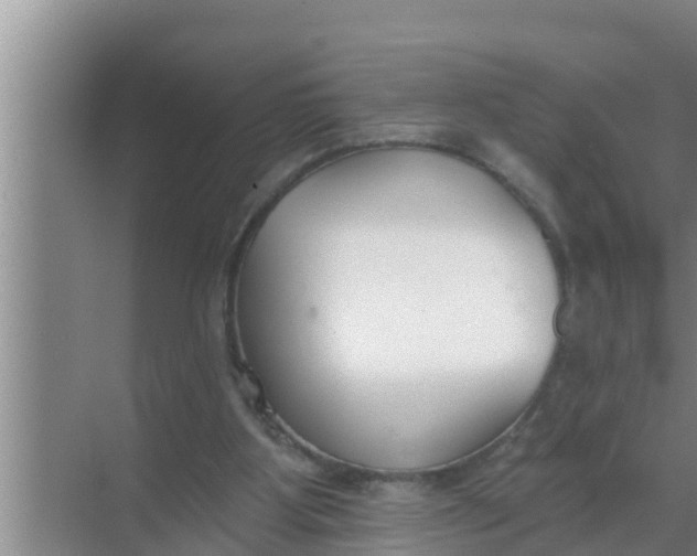 X0000069380107200605262101