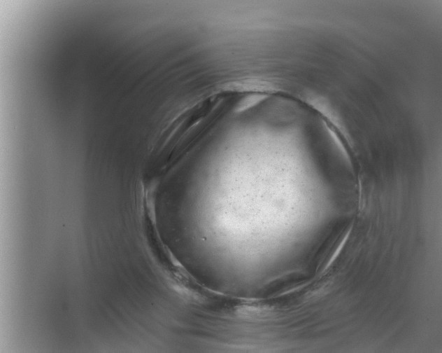 X0000069380109200605262101