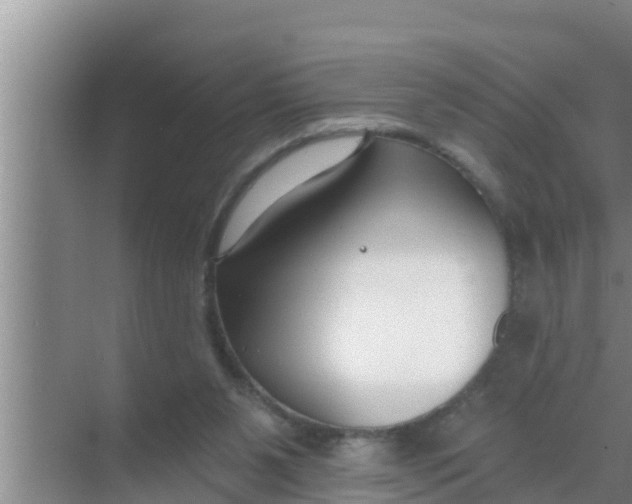 X0000069380111200605262101